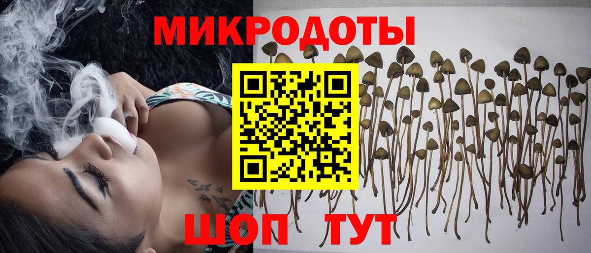 Галлюциногенные грибы Magic Shrooms  купить наркоту  Вход с VPN  Красногорск  Галлюциногенные грибы мухоморы 